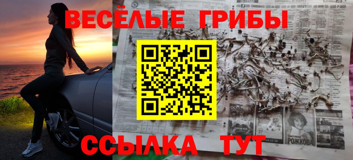 Галлюциногенные грибы мухоморы Кубинка